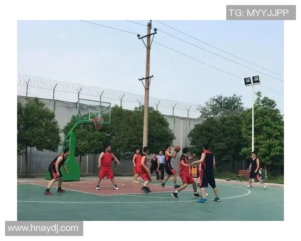 篮球明星戴维的传奇人生与赛场背后的奋斗故事